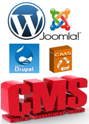 CMS - Content Management System