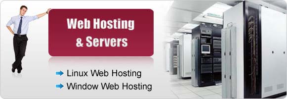 Web Hosting